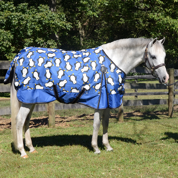 Horse Rugs The Madina International